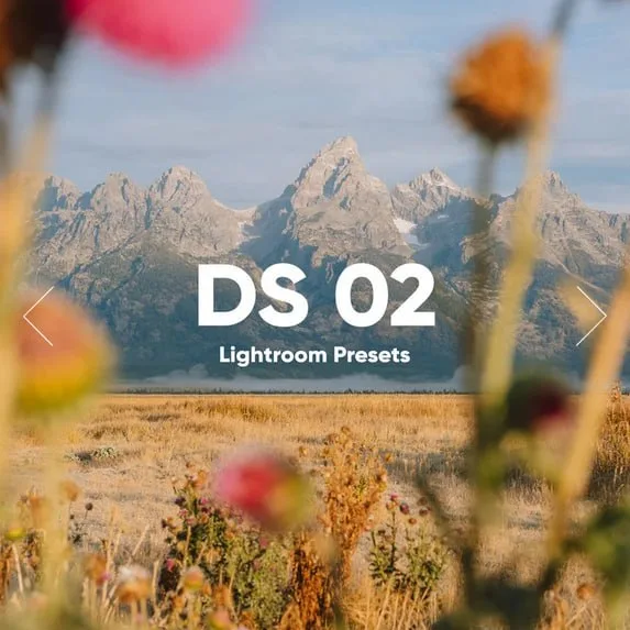 DS 02 Lightroom Presets