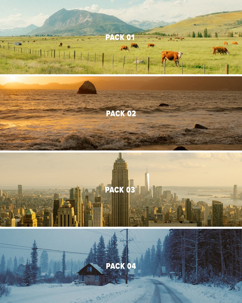 Austin Visual - Film Lightroom Presets Bundle