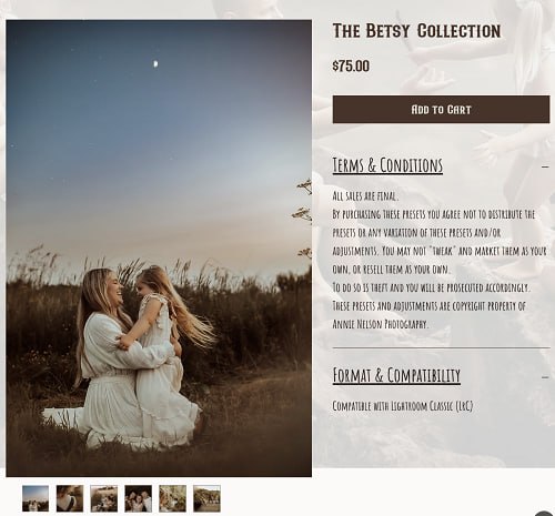 Annie Nelson - The Betsy Collections Lightroom Preset