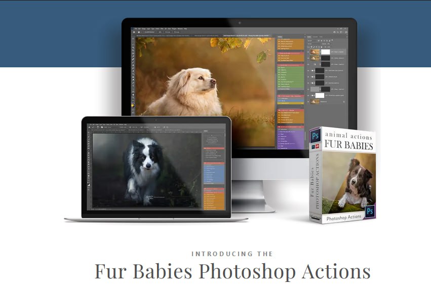 LSP Actions - Fur Babies v3