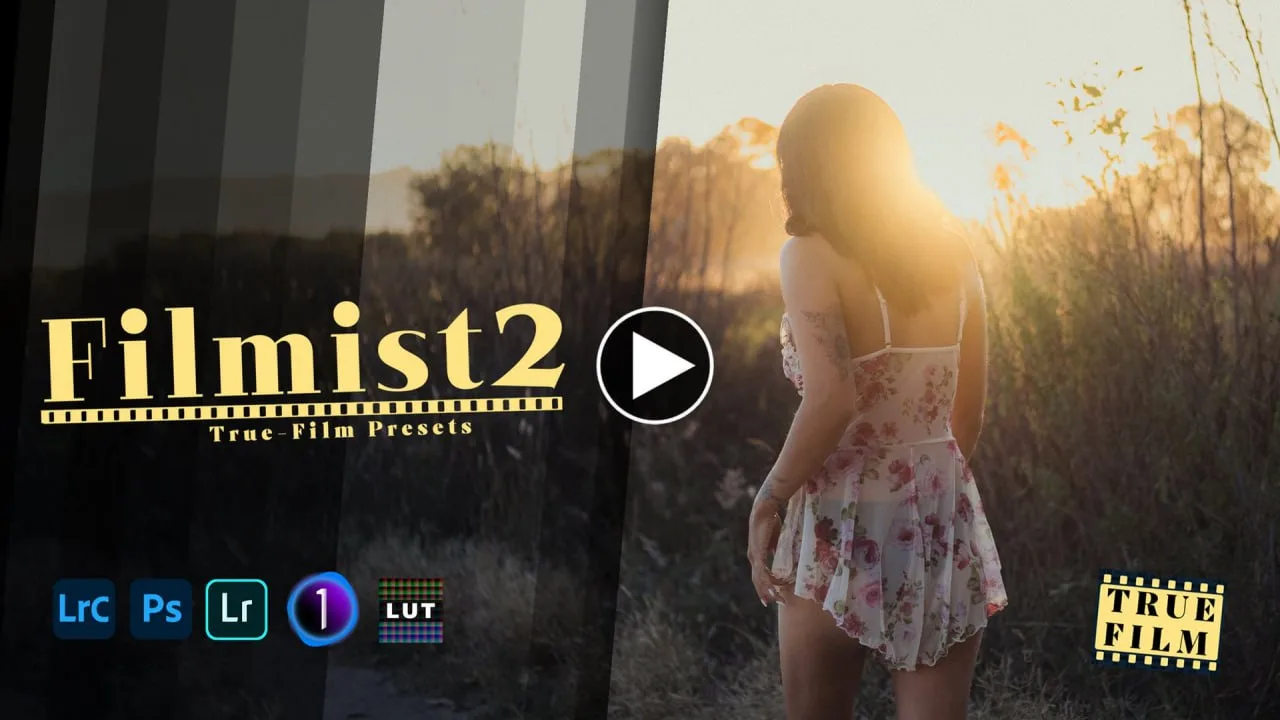Seim Effects - Fimist Bundle for Preset and Lut v2.51