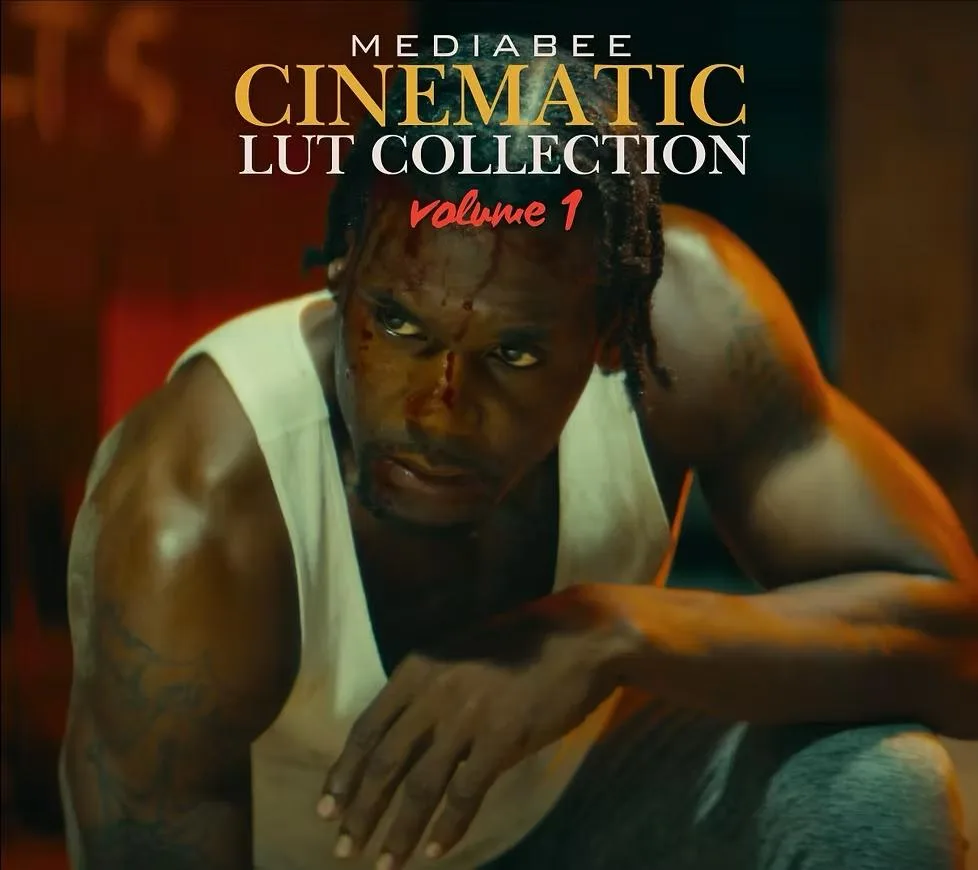 Mediabee Cinematic LUT Collection vol 1