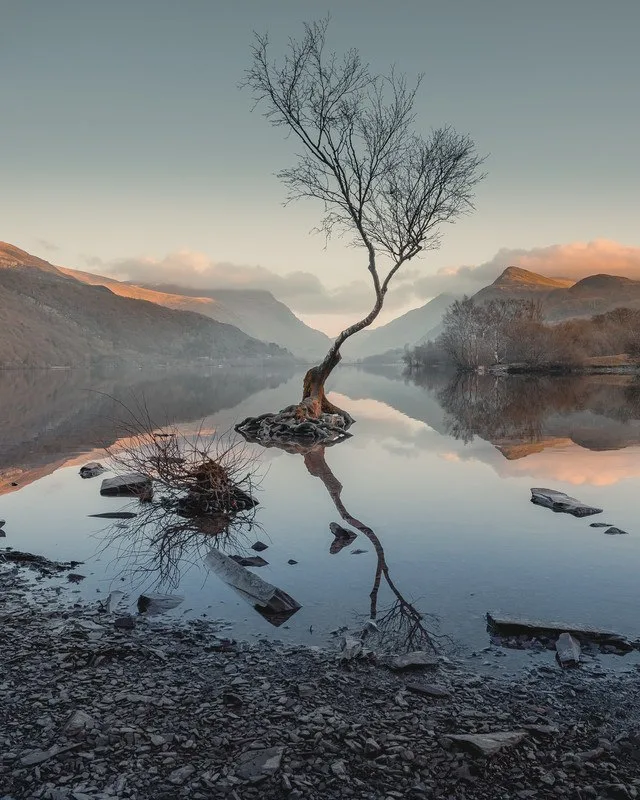 Landscape Editing Masterclass - Martin Castein