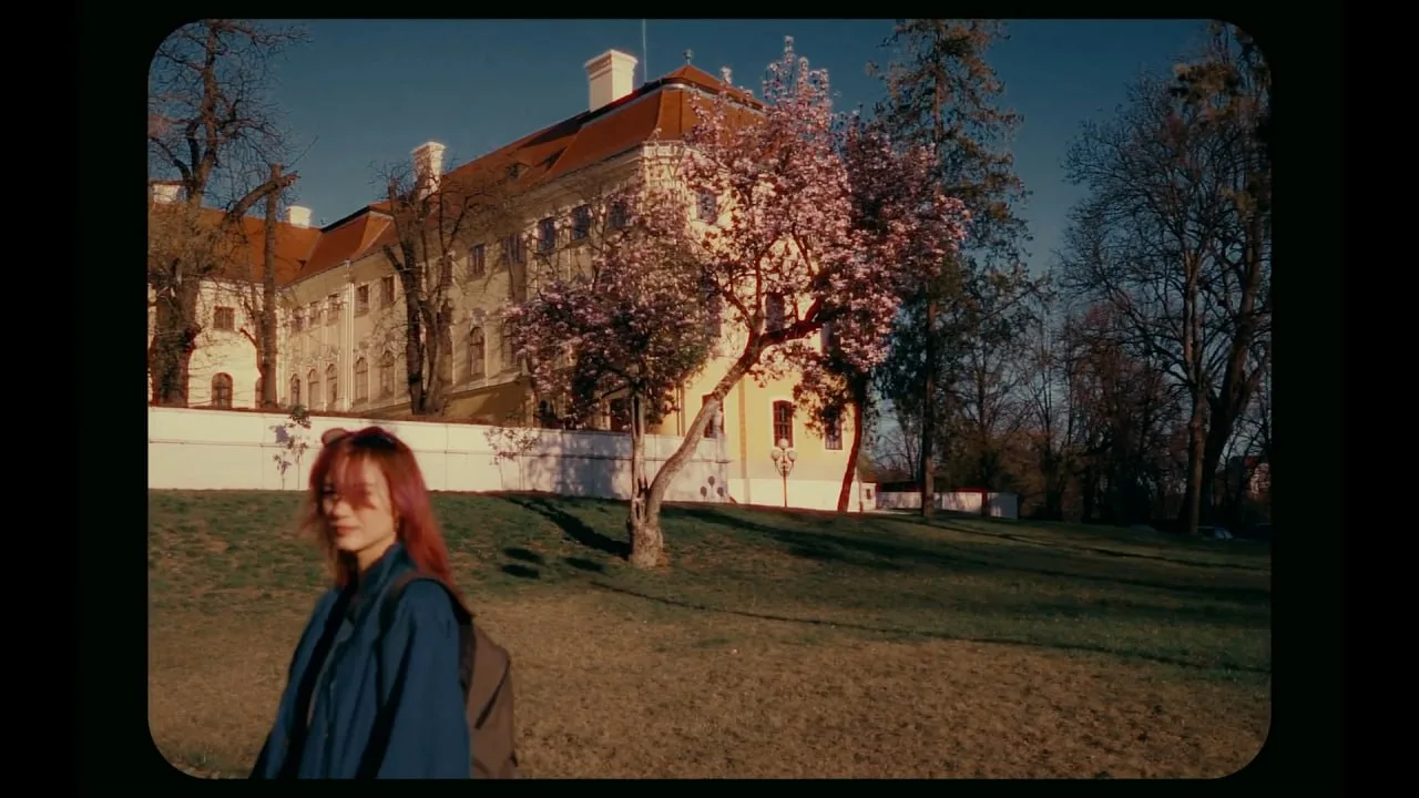 Veres Deni Alex - Super 8MM Home Film PowerGrades + LUTs