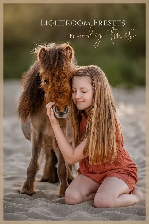 Marion Flemming - Moody Tones Presets