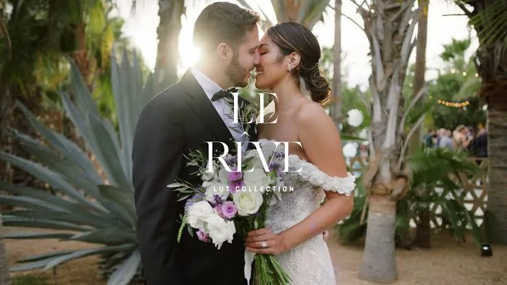 Gamut - Le Reve LUT Collection